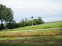 ooievaar op nest