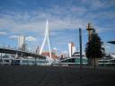 Erasmusbrug