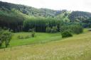 omgeving Winterberg