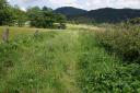 wandelpad