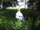 Heiloo