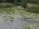 oudorper polder