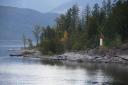 ferrie