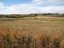 fish creek park