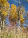 fish creek park