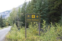Bank Head