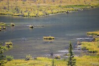 Bow River