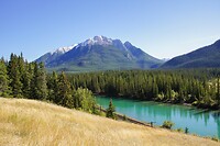 Bow River