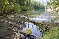 Olive Lake