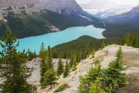 Peyto Lake