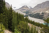 Gletsjer Peyto Lake