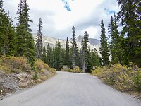 Wilcox Creek Campsite