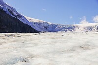 icewalk