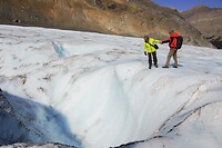 Icewalk