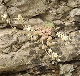 DSC00027-01