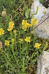 DSC00039-01