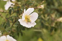DSC00045-01