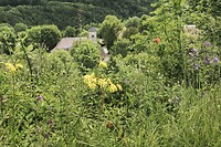 DSC00053-02