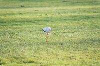 DSC04612 b