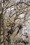 DSC04650 b