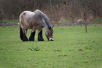 DSC04659 b
