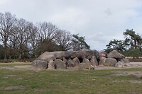 DSC04685 b