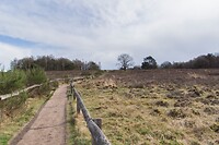 DSC04690 b