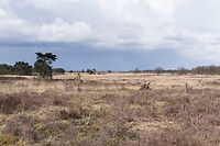 DSC04692 b