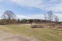 DSC04694 b