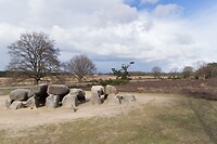 DSC04697 b