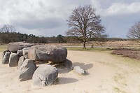 DSC04699 b