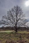 DSC04701 b