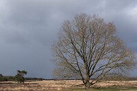 DSC04702 b