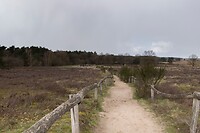 DSC04704 b