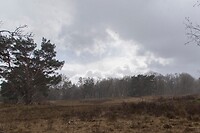 DSC04706 b