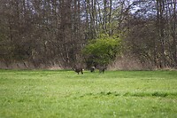 DSC04738