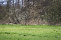 DSC04743