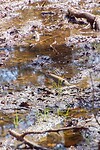 DSC04874