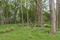 DSC05503