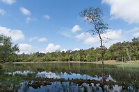 DSC05844