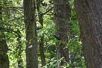 DSC05850