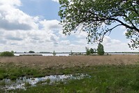 DSC05852