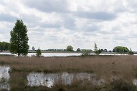 DSC05853