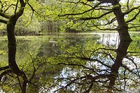 DSC05874