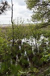 DSC05911