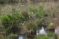 DSC05941