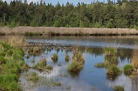 DSC05950