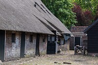 DSC05956
