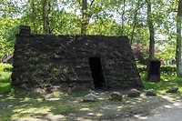 DSC05959