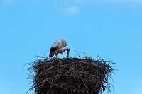 DSC05970